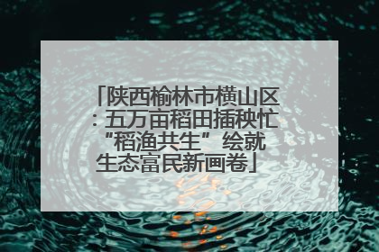 陕西榆林市横山区：五万亩稻田插秧忙 “稻渔共生”绘就生态富民新画卷