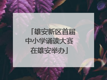 雄安新区首届中小学诵读大赛在雄安举办