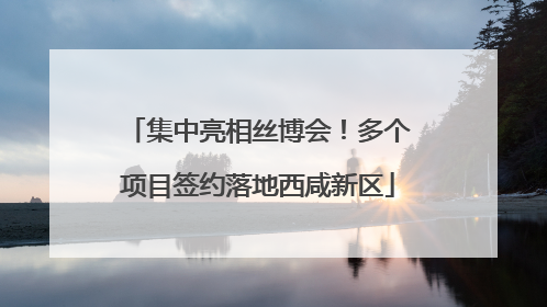 集中亮相丝博会！多个项目签约落地西咸新区
