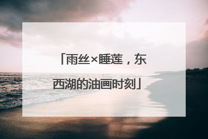 雨丝×睡莲，东西湖的油画时刻