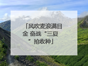 风吹麦浪满目金 奋战“三夏”抢收种