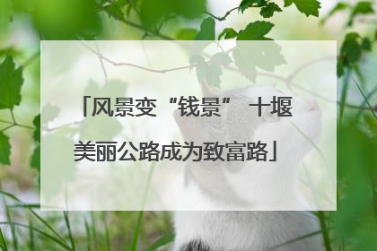 风景变“钱景” 十堰美丽公路成为致富路