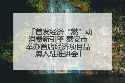 首发经济“燃”动消费新引擎 泰安市举办首店经济项目品牌入驻推进会