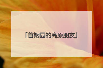 首钢园的高原朋友