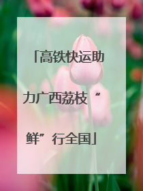 高铁快运助力广西荔枝“鲜”行全国