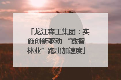 龙江森工集团：实施创新驱动 “数智林业”跑出加速度