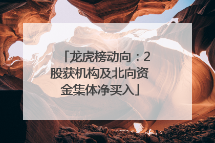 龙虎榜动向：2股获机构及北向资金集体净买入