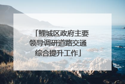 鲤城区政府主要领导调研道路交通综合提升工作