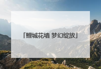 鲤城花墙 梦幻绽放