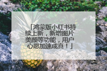 鸿蒙版小红书持续上新，新增图片美颜等功能，用户心愿加速成真！