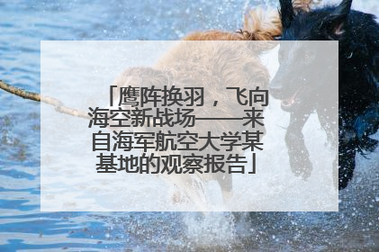 鹰阵换羽，飞向海空新战场——来自海军航空大学某基地的观察报告
