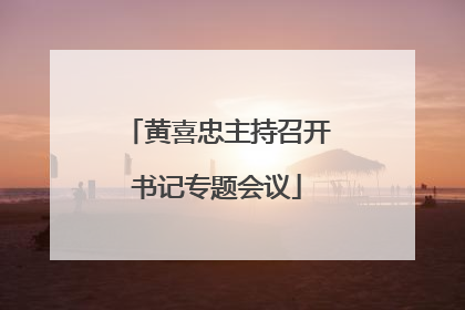 黄喜忠主持召开书记专题会议