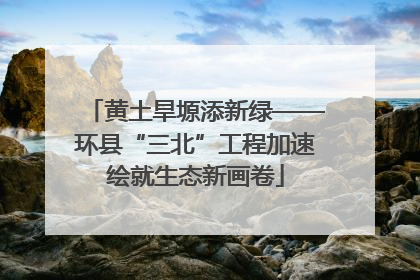黄土旱塬添新绿——环县“三北”工程加速绘就生态新画卷