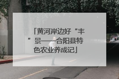 黄河岸边好“丰”景——合阳县特色农业养成记