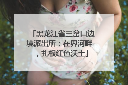 黑龙江省三岔口边境派出所：在界河畔，扎根红色沃土