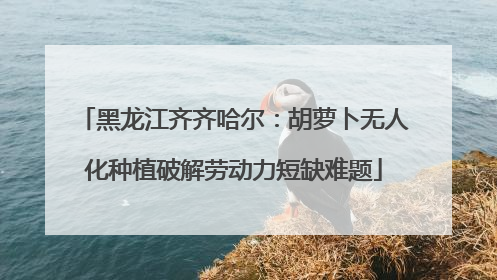黑龙江齐齐哈尔：胡萝卜无人化种植破解劳动力短缺难题