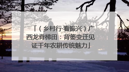 （乡村行·看振兴）广西龙脊梯田：背篓变迁见证千年农耕传统魅力
