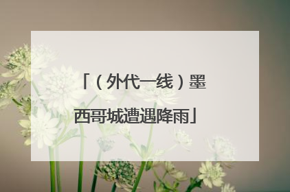 （外代一线）墨西哥城遭遇降雨
