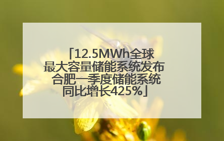 12.5MWh全球最大容量储能系统发布 合肥一季度储能系统同比增长425%