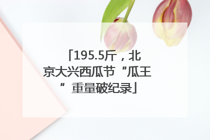 195.5斤，北京大兴西瓜节“瓜王”重量破纪录