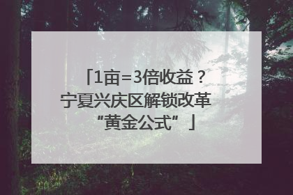 1亩=3倍收益？宁夏兴庆区解锁改革“黄金公式”