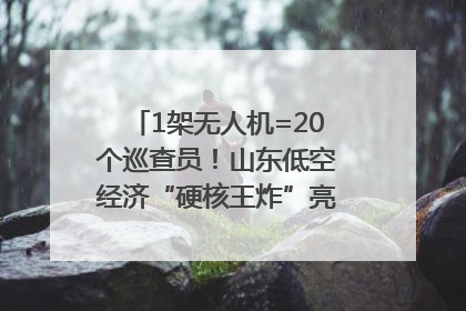 1架无人机=20个巡查员！山东低空经济“硬核王炸”亮相青岛，下一个万亿赛道藏在这里