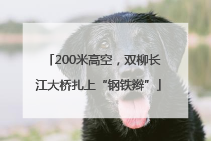 200米高空，双柳长江大桥扎上“钢铁辫”