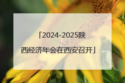 2024-2025陕西经济年会在西安召开