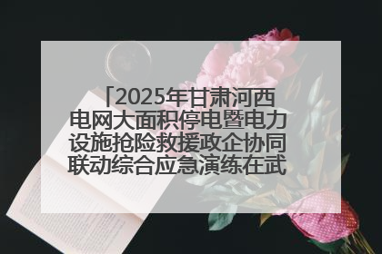 2025年甘肃河西电网大面积停电暨电力设施抢险救援政企协同联动综合应急演练在武威成功举行