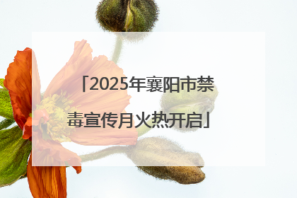 2025年襄阳市禁毒宣传月火热开启