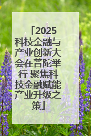 2025科技金融与产业创新大会在普陀举行 聚焦科技金融赋能产业升级之策