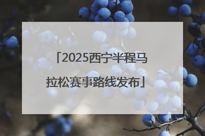 2025西宁半程马拉松赛事路线发布