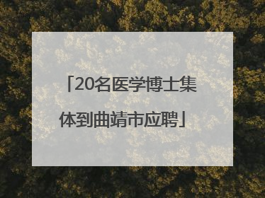 20名医学博士集体到曲靖市应聘