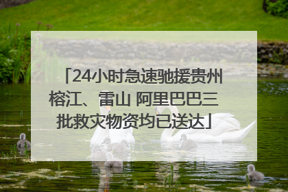 24小时急速驰援贵州榕江、雷山 阿里巴巴三批救灾物资均已送达