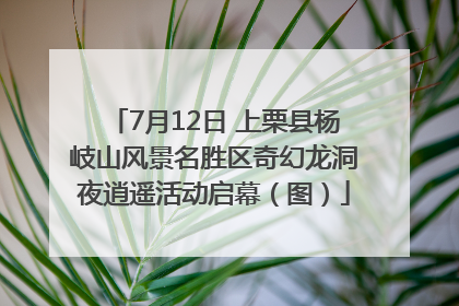 7月12日 上栗县杨岐山风景名胜区奇幻龙洞夜逍遥活动启幕（图）
