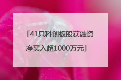 41只科创板股获融资净买入超1000万元