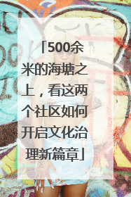 500余米的海塘之上，看这两个社区如何开启文化治理新篇章