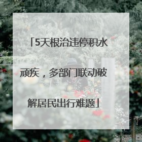 5天根治违停积水顽疾，多部门联动破解居民出行难题