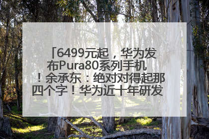 6499元起，华为发布Pura80系列手机！余承东：绝对对得起那四个字！华为近十年研发投入12490亿元