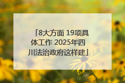 8大方面 19项具体工作 2025年四川法治政府这样建