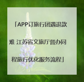 APP订旅行团遇退款难 江苏省文旅厅督办同程旅行优化服务流程