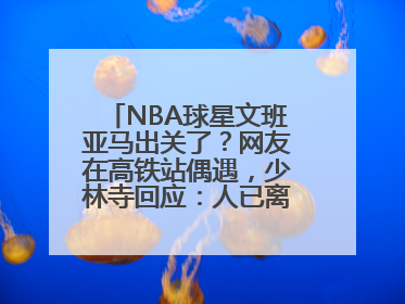 NBA球星文班亚马出关了？网友在高铁站偶遇，少林寺回应：人已离开寺院