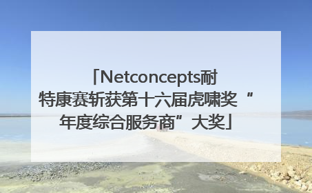 Netconcepts耐特康赛斩获第十六届虎啸奖“年度综合服务商”大奖